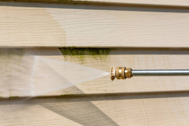 Best Deck Pressure Washing  in , AR